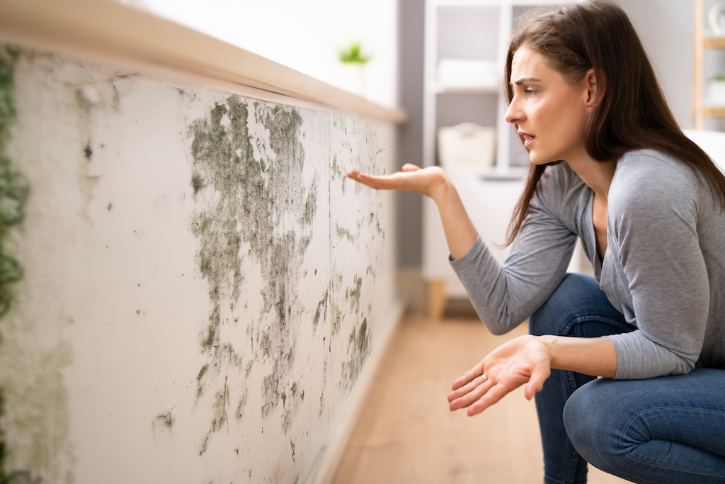 Home buyer inspecting a home with visible mould issues