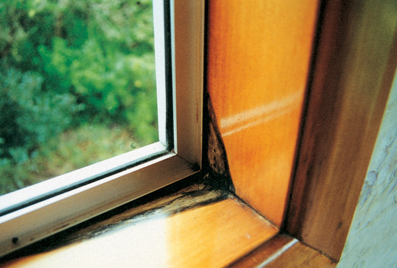Timber Damage from untreated Window Condensation in the Home